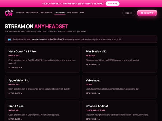 The GirlsDoVR VR player as seen in a headset.
